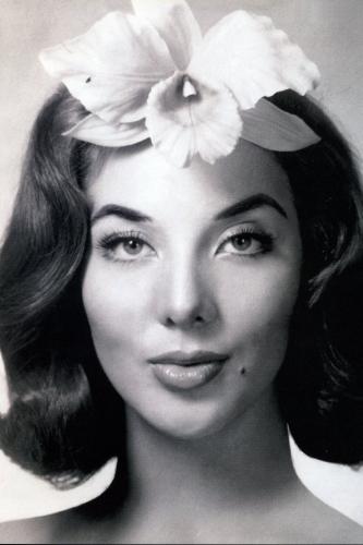 Lorena Velazquez