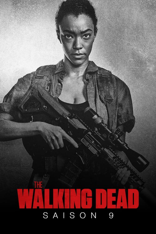 Jaquette The Walking Dead
