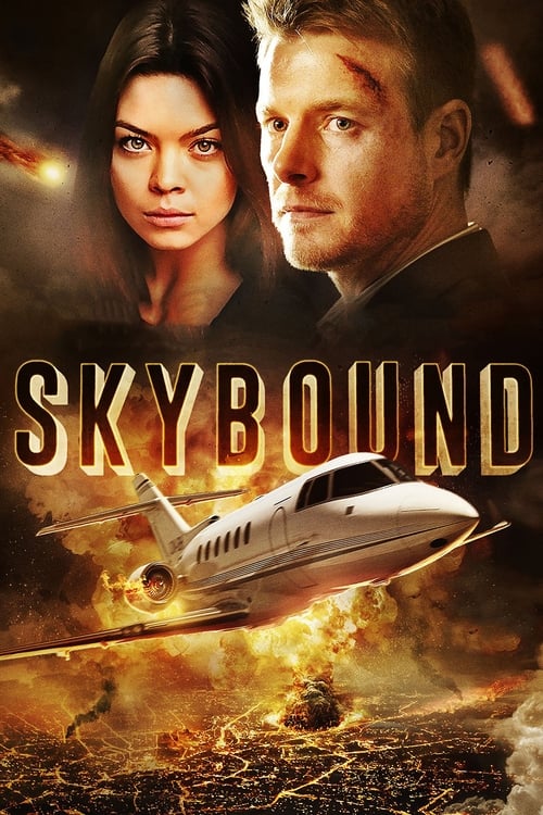 Jaquette Skybound