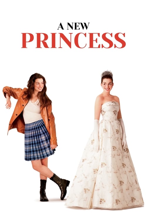 Jaquette A New Princess