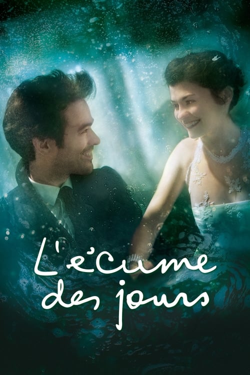 Jaquette L'Ecume des jours
