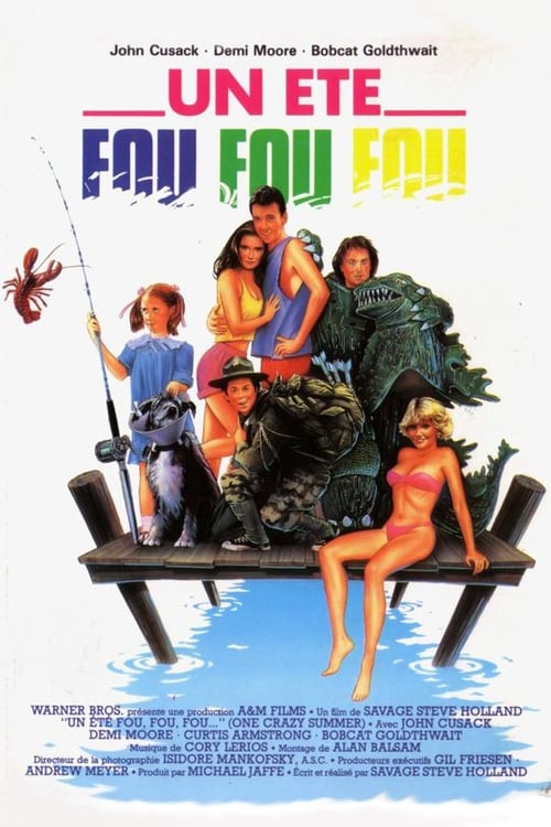 Jaquette Un été fou, fou, fou