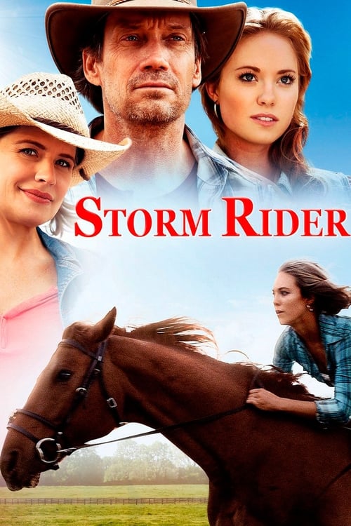 Jaquette Storm Rider