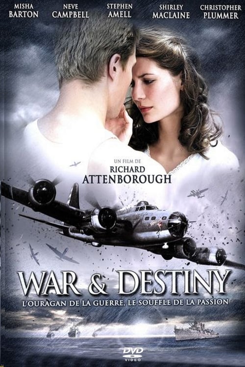 Jaquette War And Destiny