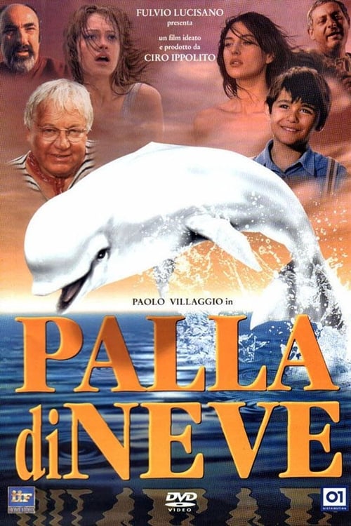 Jaquette Palla di neve