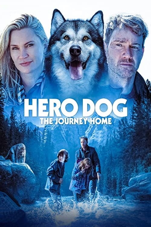 Jaquette Hero Dog: The Journey Home
