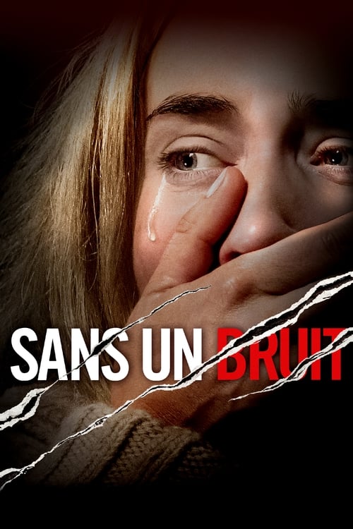Jaquette Sans un bruit