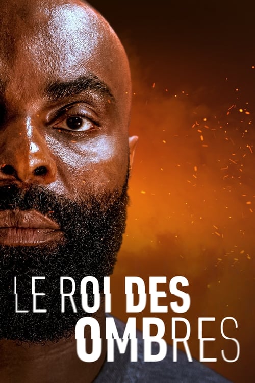 Jaquette Le Roi des Ombres