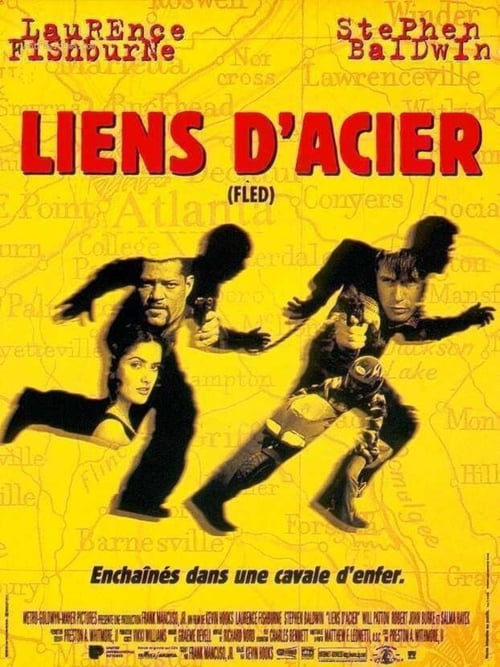 Jaquette Liens d'acier