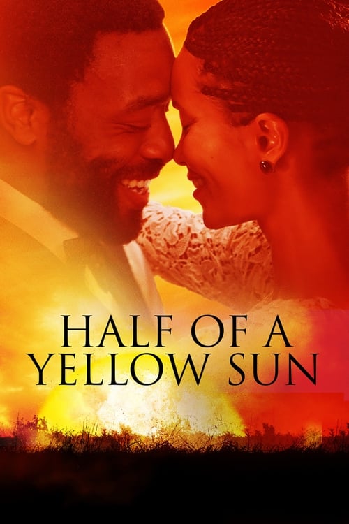 Jaquette Half of a Yellow Sun