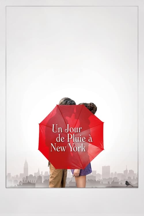 Jaquette Un jour de pluie à New York