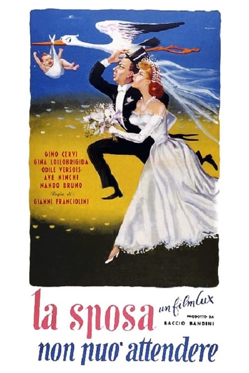 Jaquette La sposa non può attendere