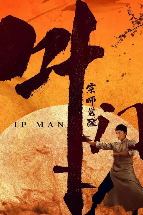 Jaquette Master Ip Man : The Awakening