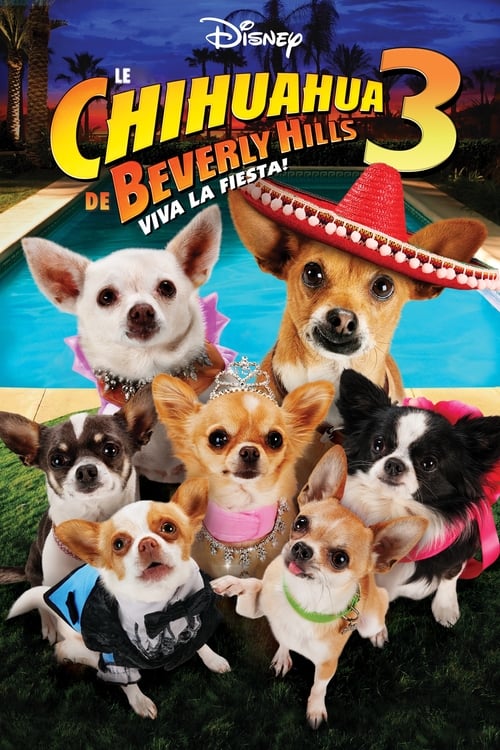 Jaquette Le Chihuahua de Beverly Hills 3 : Viva la Fiesta !
