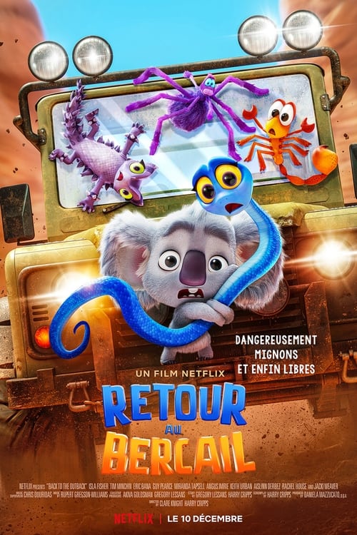 Jaquette Retour au bercail