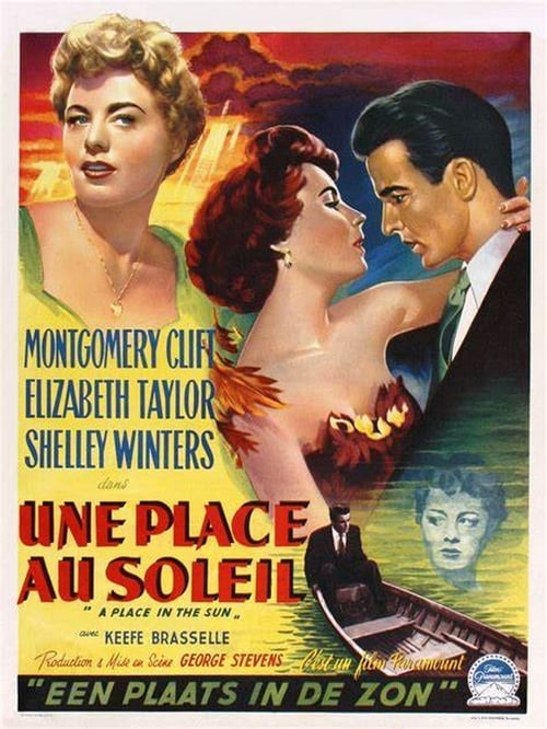 Jaquette Une place au soleil