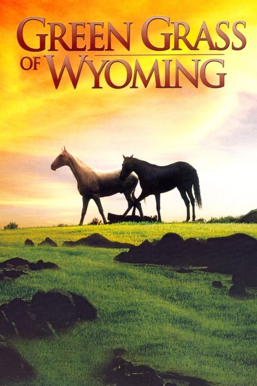 Jaquette L'Herbe verte du Wyoming