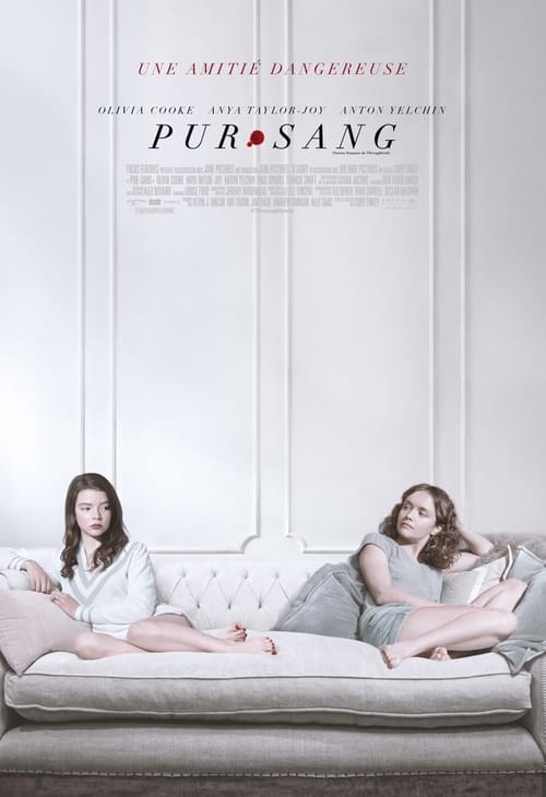 Jaquette Pur-sang