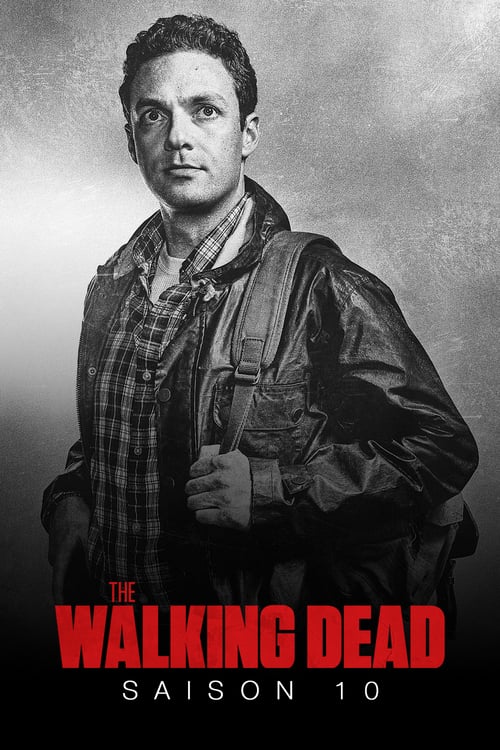 Jaquette The Walking Dead