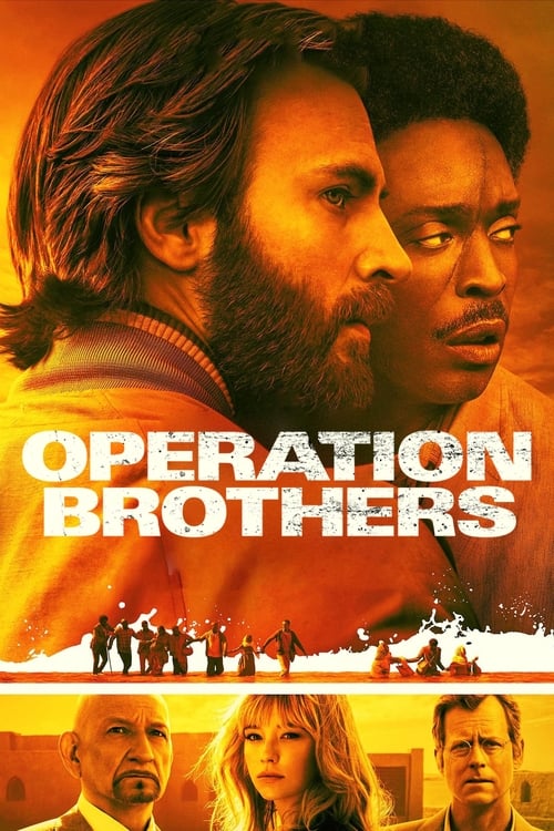 Jaquette Operation Brothers