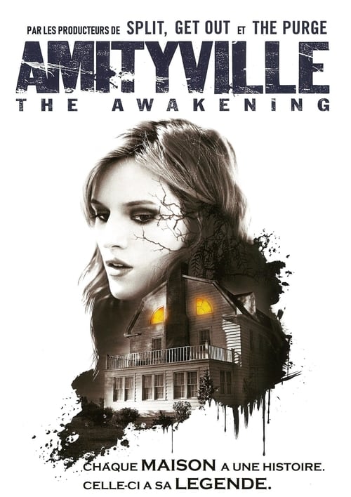 Jaquette Amityville : The Awakening