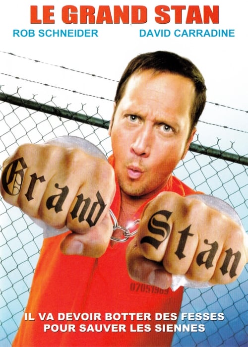 Jaquette Le Grand Stan