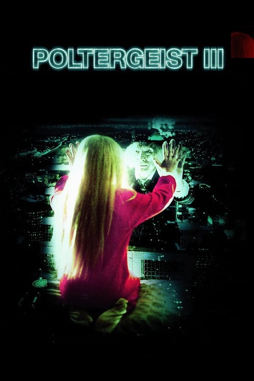 Jaquette Poltergeist III