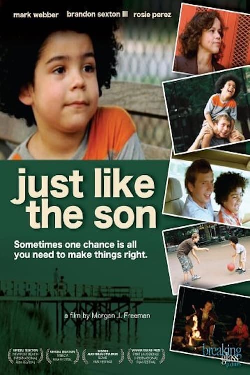 Jaquette Just Like the Son