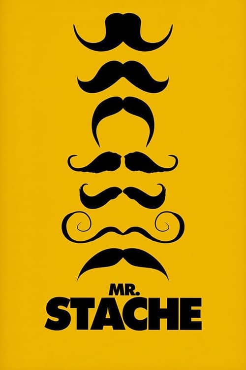 Jaquette Mr. Stache