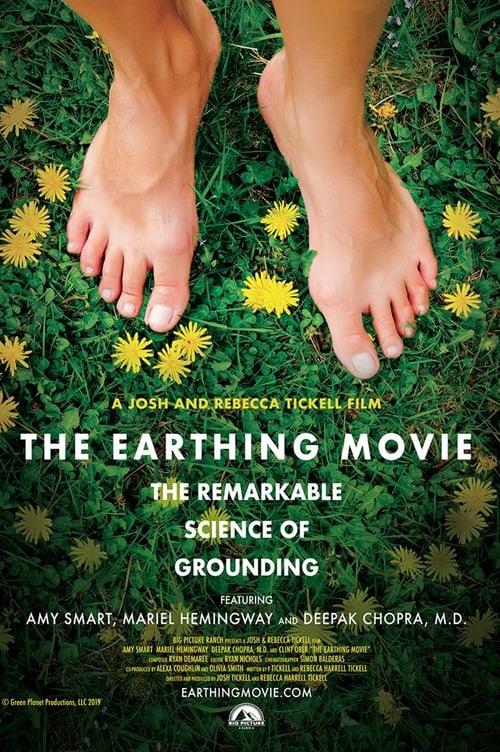 Jaquette The Earthing Movie