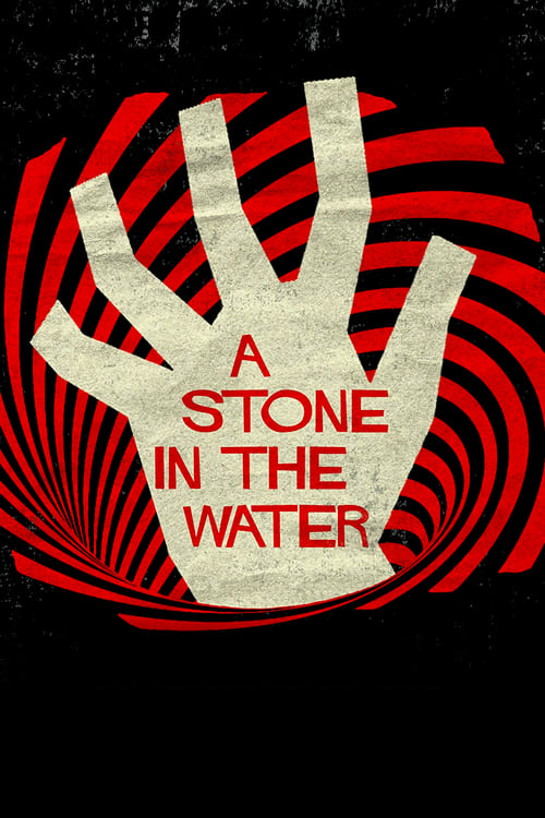 Jaquette A Stone in the Water