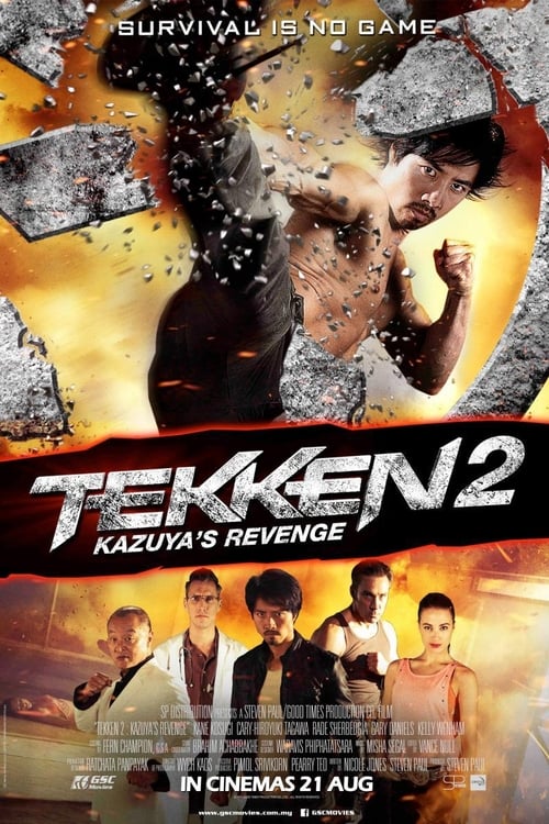 Jaquette Tekken 2