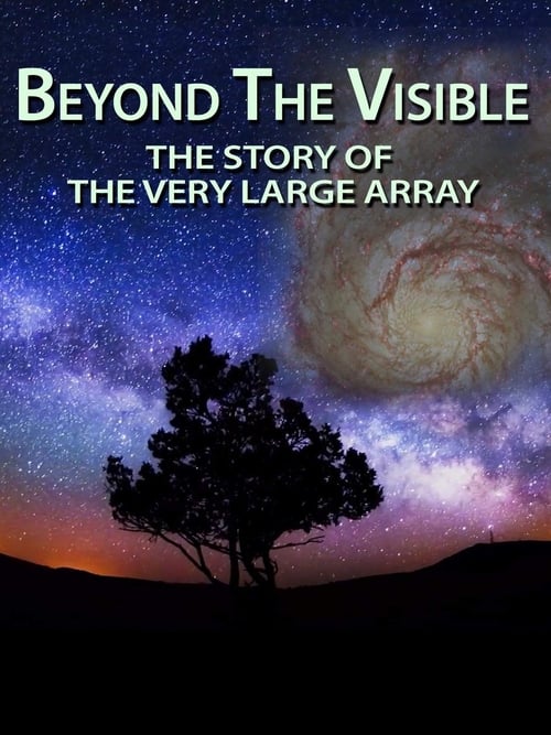 Jaquette Beyond the Visible: The Story of the Very Large Array