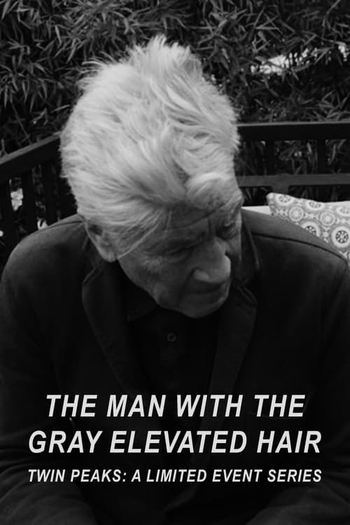 Jaquette The Man with the Gray Elevated Hair