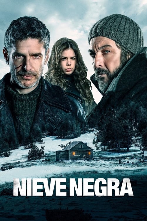 Jaquette Neige noire