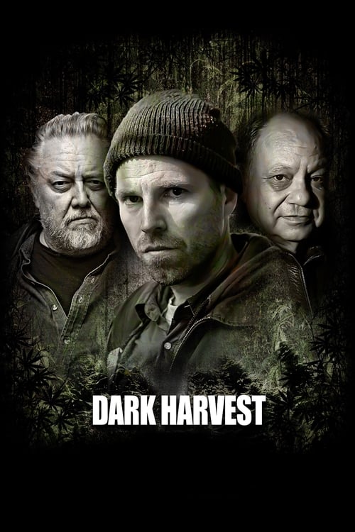 Jaquette Dark Harvest