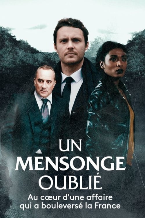 Jaquette Un mensonge oublié