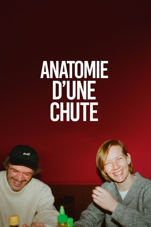 Jaquette Anatomie d'une chute