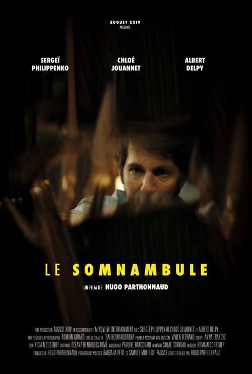 Jaquette Le Somnambule