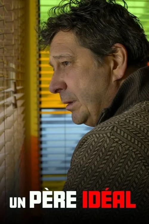Jaquette Un père idéal