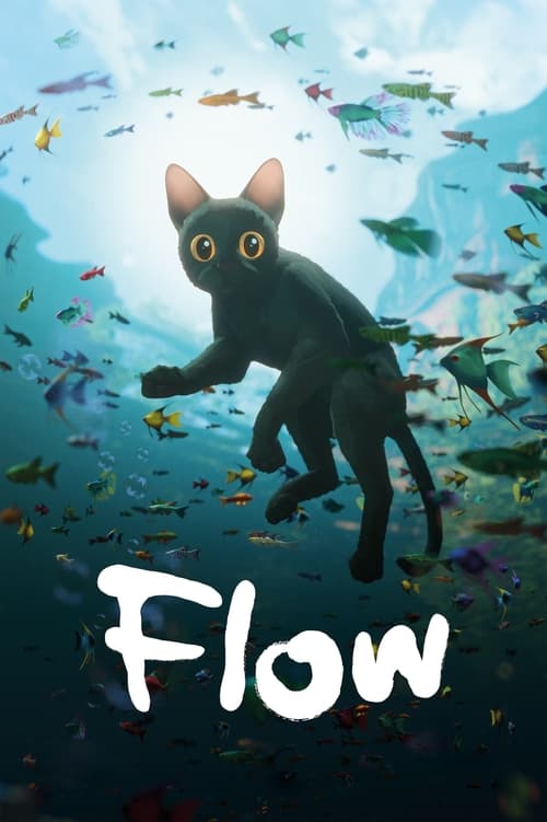 Jaquette Flow, le chat qui n'avait plus peur de l'eau