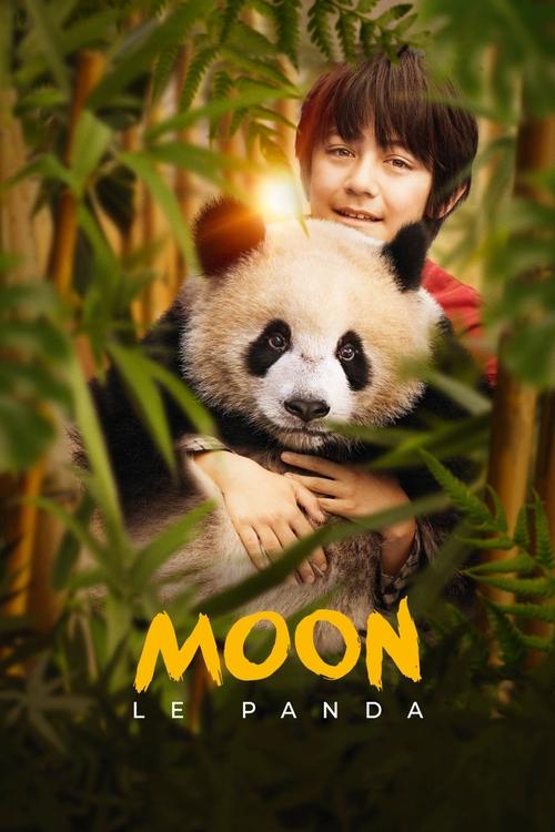 Jaquette Moon le Panda