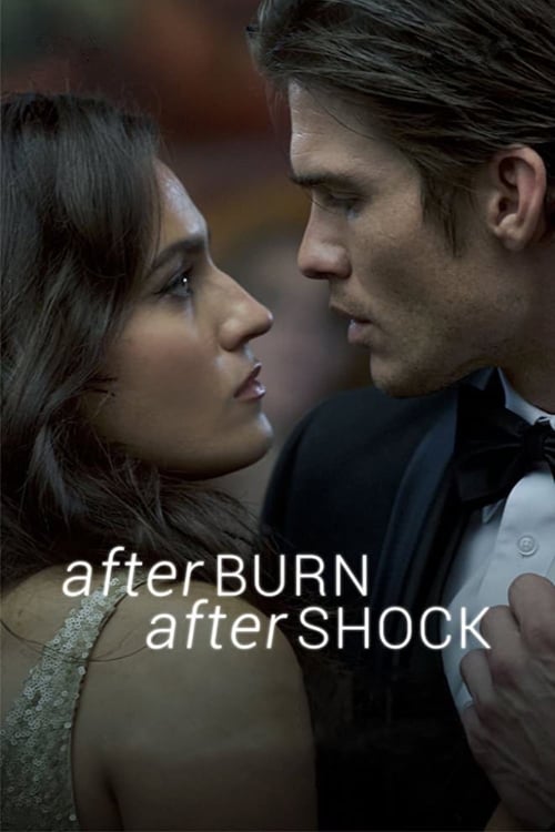 Jaquette Afterburn/Aftershock