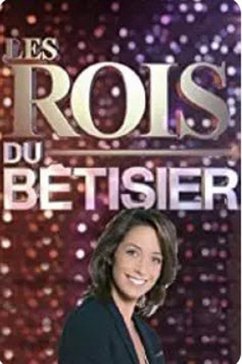 Jaquette Les Rois du Bêtisier