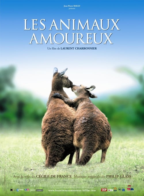 Jaquette Les Animaux Amoureux
