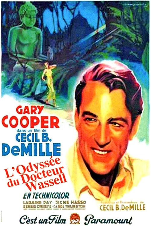 Jaquette L'Odyssée du docteur Wassell