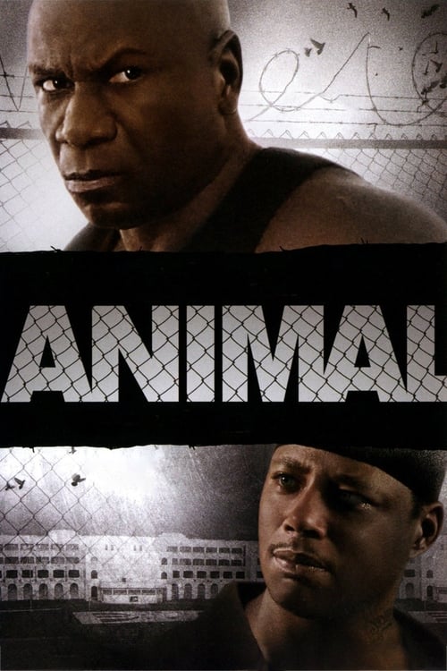 Jaquette Animal