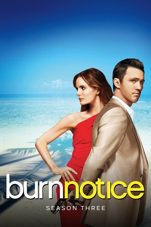 Jaquette Burn Notice