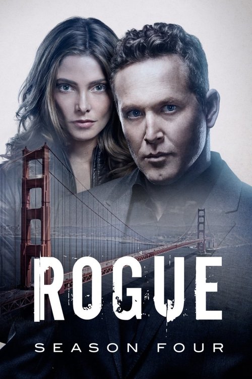 Jaquette Rogue