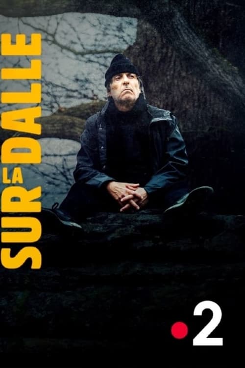 Jaquette Sur la dalle